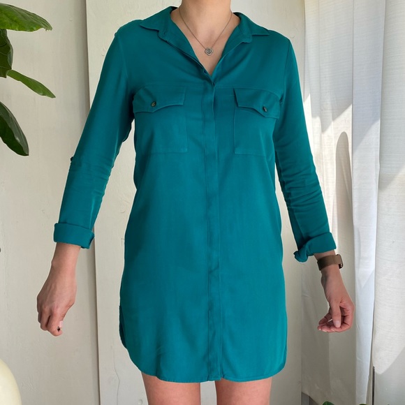 T5 Naked Zebra shirt dress - Picture 2 of 8